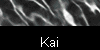  Kai 
